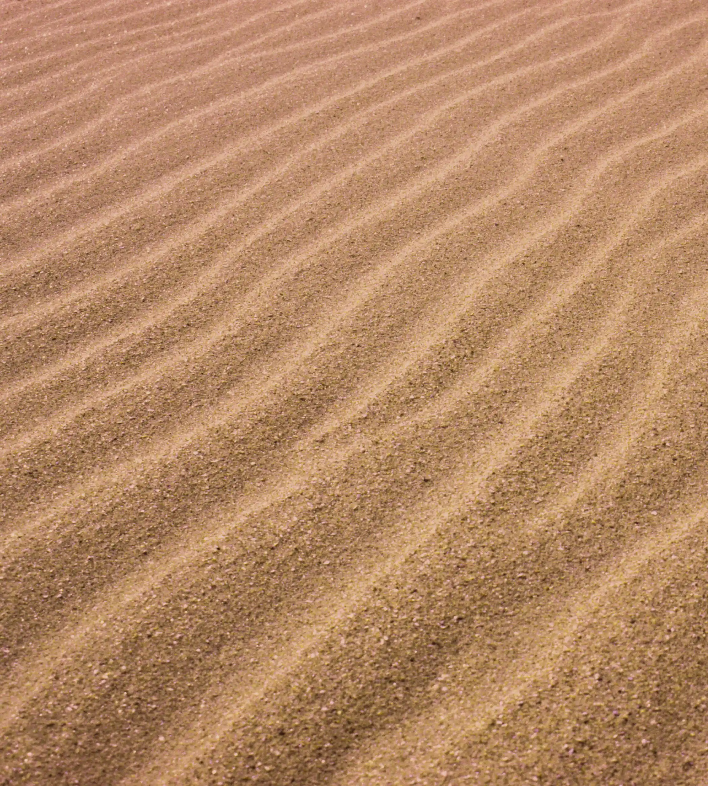 Athena laser fond sable doré